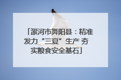 漯河市舞阳县：精准发力“三夏”生产 夯实粮食安全基石