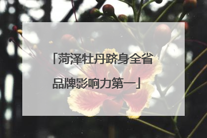菏泽牡丹跻身全省品牌影响力第一