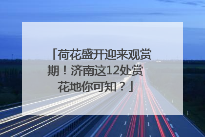 荷花盛开迎来观赏期！济南这12处赏花地你可知？