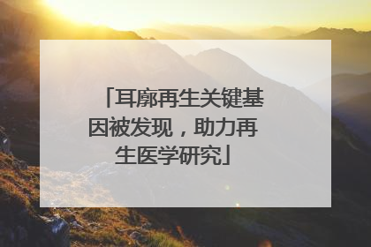 耳廓再生关键基因被发现，助力再生医学研究