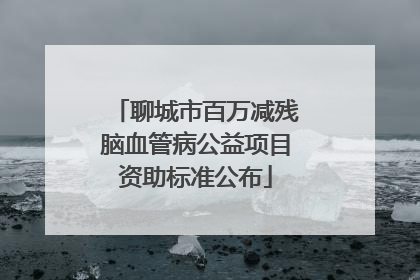 聊城市百万减残脑血管病公益项目资助标准公布