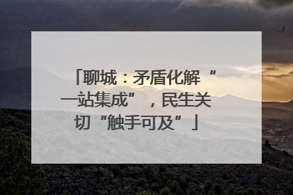 聊城：矛盾化解“一站集成”，民生关切“触手可及”