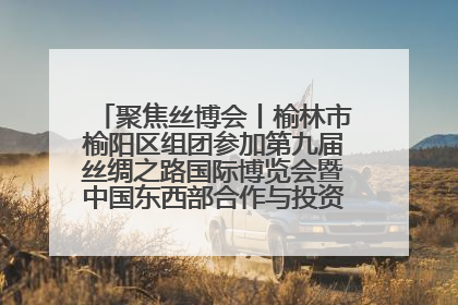 聚焦丝博会丨榆林市榆阳区组团参加第九届丝绸之路国际博览会暨中国东西部合作与投资贸易洽谈会