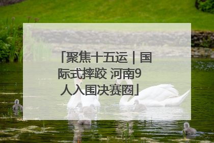 聚焦十五运｜国际式摔跤 河南9人入围决赛圈