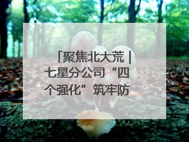 聚焦北大荒｜七星分公司“四个强化”筑牢防汛减灾屏障