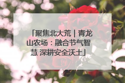 聚焦北大荒｜青龙山农场：融合节气智慧 深耕安全沃土