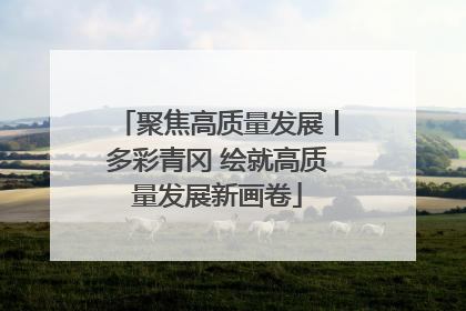 聚焦高质量发展丨多彩青冈 绘就高质量发展新画卷