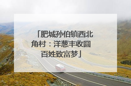肥城孙伯镇西北角村：洋葱丰收圆百姓致富梦