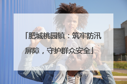 肥城桃园镇：筑牢防汛屏障，守护群众安全