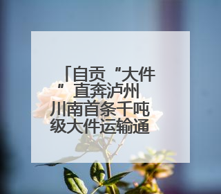 自贡“大件”直奔泸州 川南首条千吨级大件运输通道建设加速推进