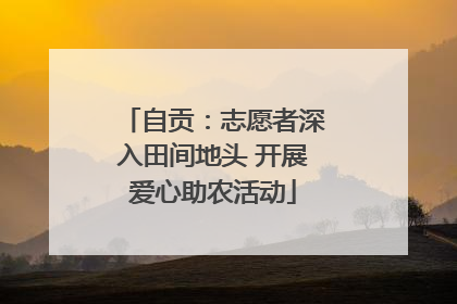 自贡：志愿者深入田间地头 开展爱心助农活动