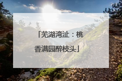 芜湖湾沚：桃香满园醉枝头