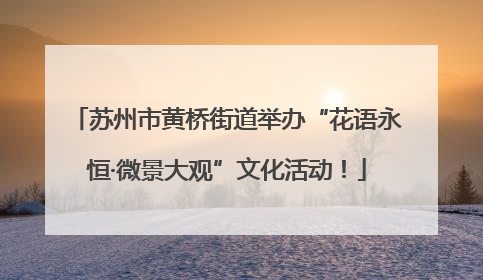 苏州市黄桥街道举办“花语永恒·微景大观”文化活动！