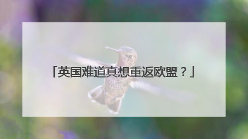 英国难道真想重返欧盟？