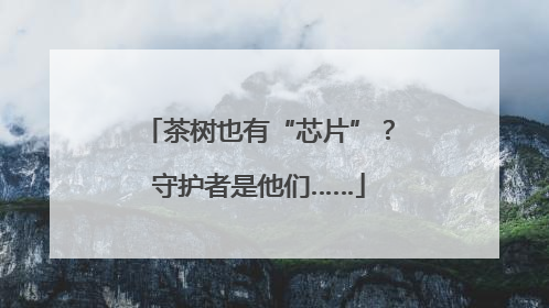 茶树也有“芯片”？守护者是他们……