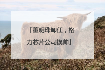 董明珠卸任，格力芯片公司换帅