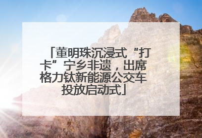董明珠沉浸式“打卡”宁乡非遗，出席格力钛新能源公交车投放启动式