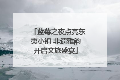 蓝莓之夜点亮东夷小镇 非遗雅韵开启文旅盛宴