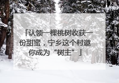 认领一棵桃树收获一份甜蜜，宁乡这个村邀你成为“树主”