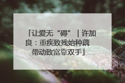 让爱无“碍”｜许加良：重疾致残始种藕 带动致富靠双手