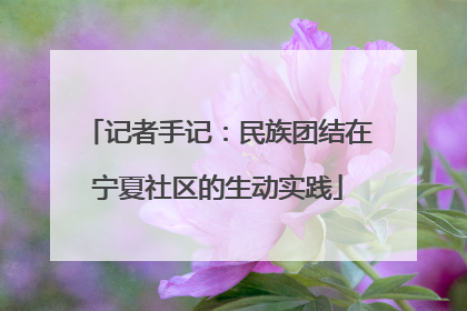 记者手记：民族团结在宁夏社区的生动实践