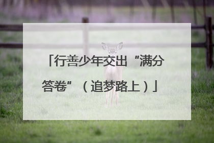 行善少年交出“满分答卷”（追梦路上）