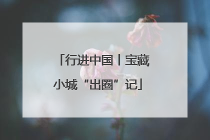 行进中国丨宝藏小城“出圈”记