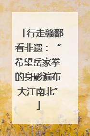行走赣鄱看非遗：“希望岳家拳的身影遍布大江南北”