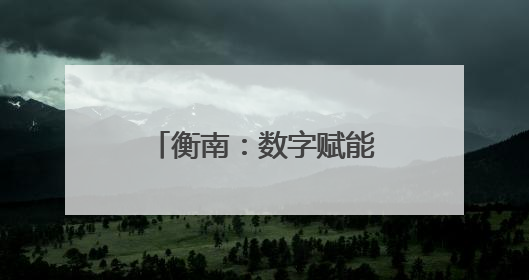 衡南：数字赋能+机制创新 打造营商环境新高地