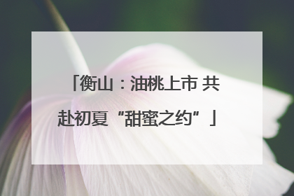 衡山：油桃上市 共赴初夏“甜蜜之约”