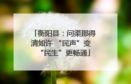 衡阳县：问渠那得清如许 “民声”变“民生”更畅通