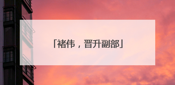 褚伟，晋升副部