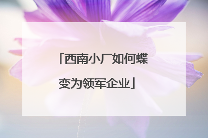 西南小厂如何蝶变为领军企业