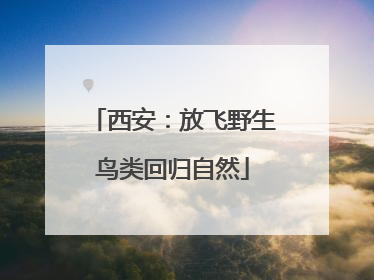 西安：放飞野生鸟类回归自然