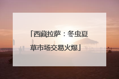 西藏拉萨：冬虫夏草市场交易火爆