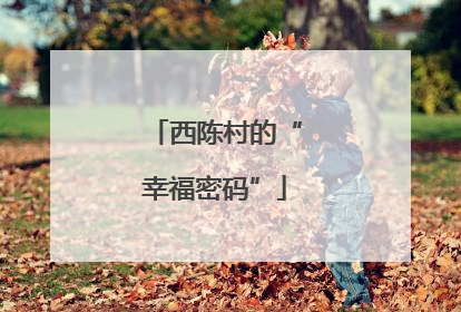 西陈村的“幸福密码”