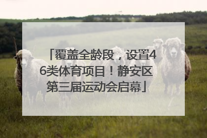 覆盖全龄段，设置46类体育项目！静安区第三届运动会启幕