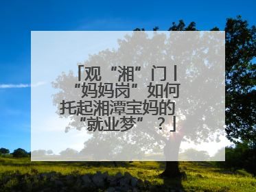 观“湘”门丨“妈妈岗”如何托起湘潭宝妈的“就业梦”？