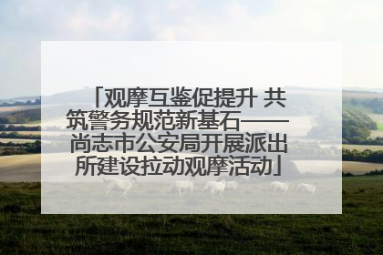 观摩互鉴促提升 共筑警务规范新基石——尚志市公安局开展派出所建设拉动观摩活动