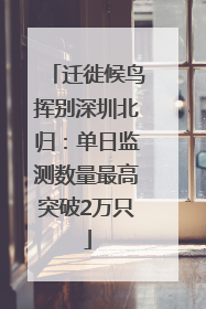 迁徙候鸟挥别深圳北归：单日监测数量最高突破2万只