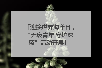 迎接世界海洋日，“无废青年 守护深蓝”活动开展