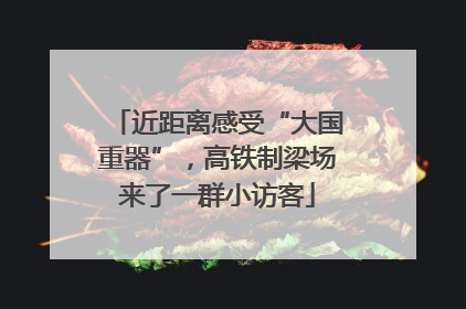 近距离感受“大国重器”，高铁制梁场来了一群小访客