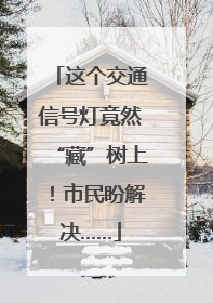 这个交通信号灯竟然“藏”树上！市民盼解决……