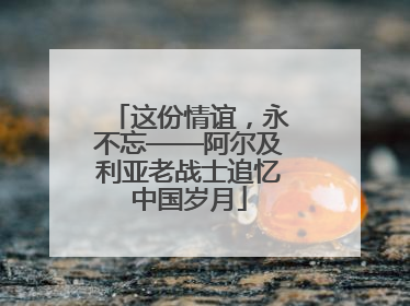 这份情谊，永不忘——阿尔及利亚老战士追忆中国岁月