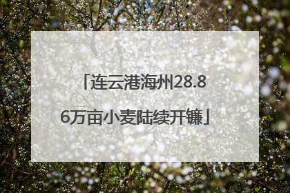 连云港海州28.86万亩小麦陆续开镰