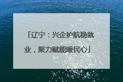 辽宁：兴企护航稳就业，聚力赋能暖民心