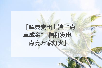 辉县麦田上演“点草成金” 秸秆发电点亮万家灯火