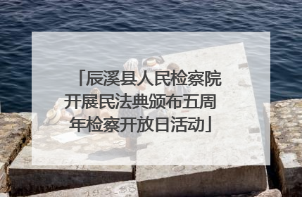 辰溪县人民检察院开展民法典颁布五周年检察开放日活动