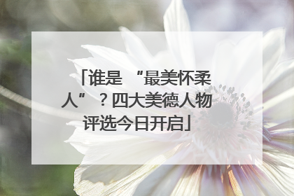 谁是 “最美怀柔人”？四大美德人物评选今日开启