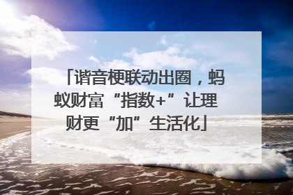 谐音梗联动出圈，蚂蚁财富“指数+”让理财更“加”生活化